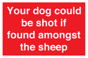 your-dog-could-be-shot-if-found-amongst-the-sheep~